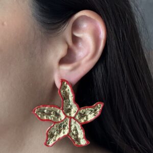 ARETE ESTRELLA MAXI LINEAS ESMALTADAS
