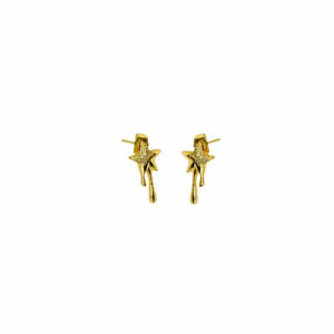ARETE ESTRELLA DERRETIDA