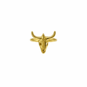 ANILLO TORO LISO