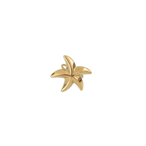 ANILLO ESTRELLA