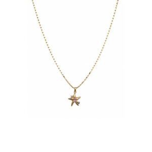 COLLAR ESTRELLA CON DESTELLOS