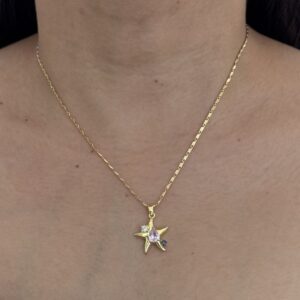 COLLAR ESTRELLA CON DESTELLOS