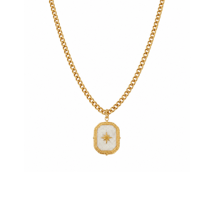 COLLAR PLACA CON DESTELLO