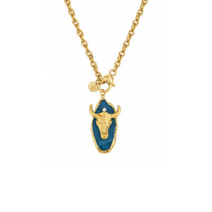 COLLAR PLACA GEODA CON TORO
